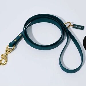 Houndcollection Jellies hands free Teal Dog waterproof Leash with Gold Hardware